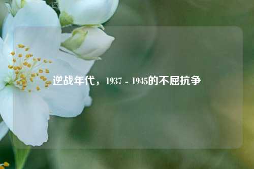 逆战年代,1937 - 1945的不屈抗争
