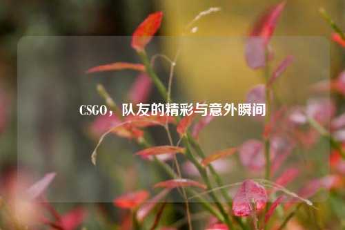 CSGO，队友的精彩与意外瞬间