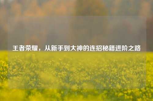 王者荣耀,从新手到大神的连招秘籍进阶之路