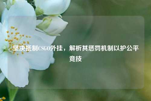 坚决抵制CSGO外挂，解析其惩罚机制以护公平竞技
