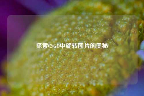 探索CSGO中旋转图片的奥秘