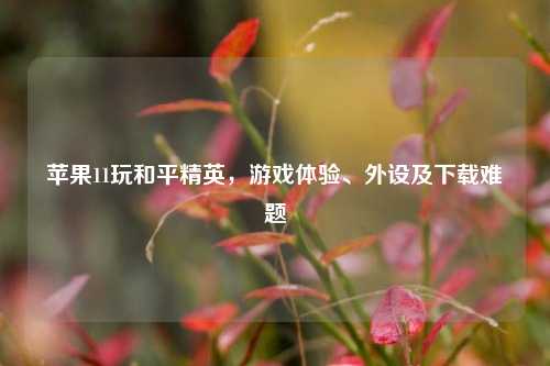 苹果11玩和平精英,游戏体验、外设及下载难题