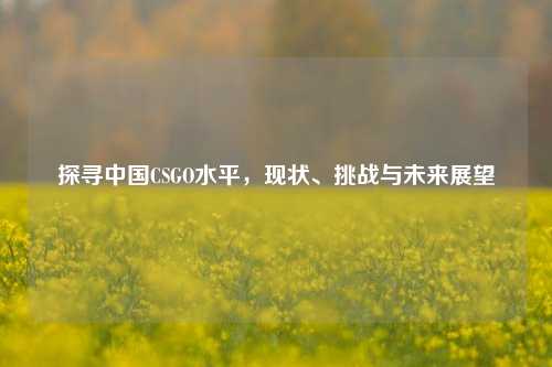 探寻中国CSGO水平,现状、挑战与未来展望