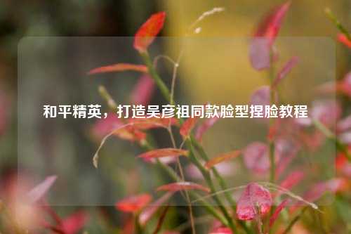 和平精英,打造吴彦祖同款脸型捏脸教程