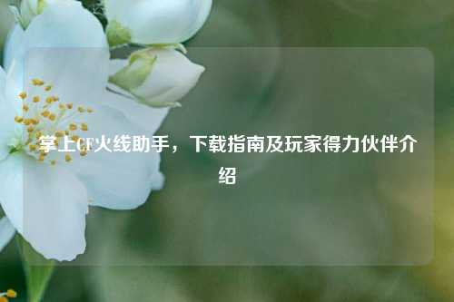 掌上CF火线助手,下载指南及玩家得力伙伴介绍