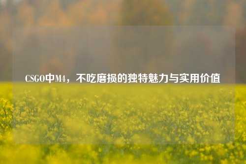CSGO中M4,不吃磨损的独特魅力与实用价值