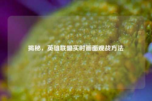 揭秘,英雄联盟实时画面观战方法