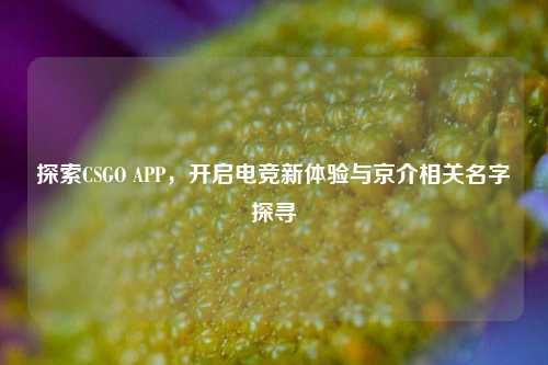 探索CSGO APP,开启电竞新体验与京介相关名字探寻