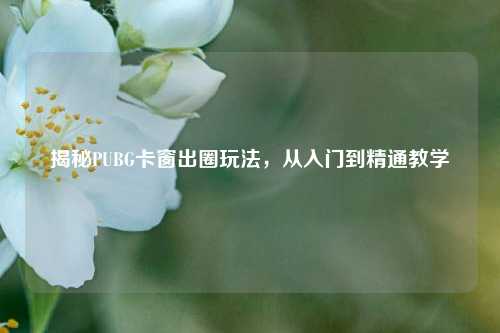 揭秘PUBG卡窗出圈玩法,从入门到精通教学