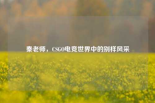 秦老师,CSGO电竞世界中的别样风采