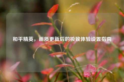和平精英,画质更新后的极致体验设置指南