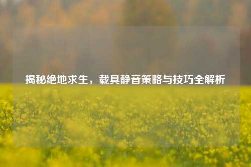 揭秘绝地求生,载具静音策略与技巧全解析