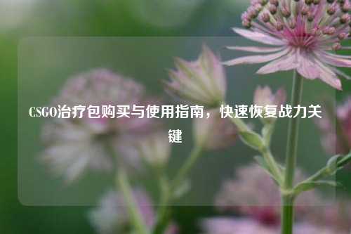 CSGO治疗包购买与使用指南,快速恢复战力关键