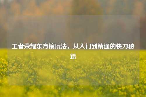 王者荣耀东方镜玩法,从入门到精通的快刀秘籍