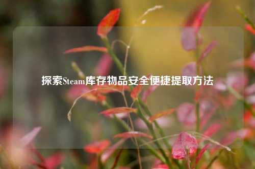探索Steam库存物品安全便捷提取方法