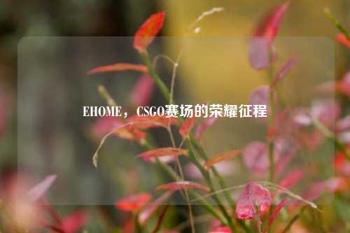 EHOME,CSGO赛场的荣耀征程