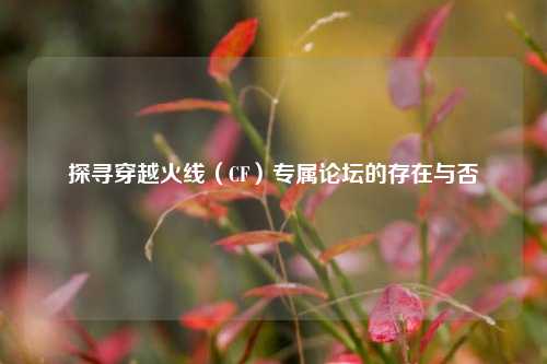 探寻穿越火线(CF)专属论坛的存在与否