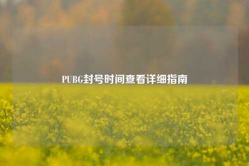 PUBG封号时间查看详细指南