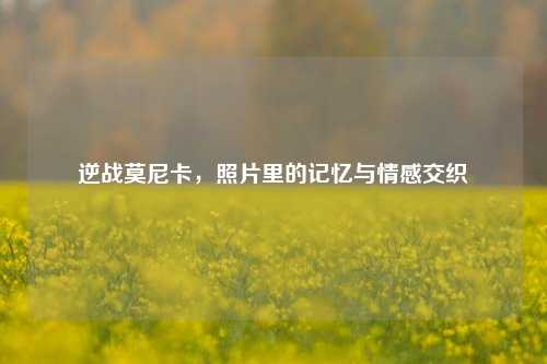 逆战莫尼卡,照片里的记忆与情感交织