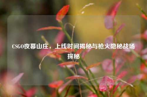 CSGO夜幕山庄,上线时间揭秘与枪火隐秘战场探秘