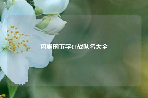 闪耀的五字CF战队名大全
