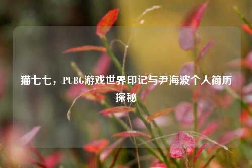 猫七七,PUBG游戏世界印记与尹海波个人简历探秘