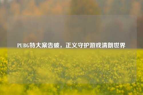 PUBG特大案告破,正义守护游戏清朗世界