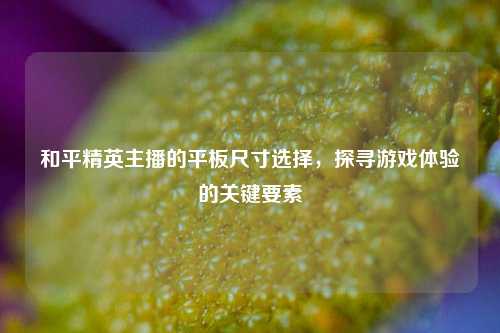和平精英主播的平板尺寸选择，探寻游戏体验的关键要素
