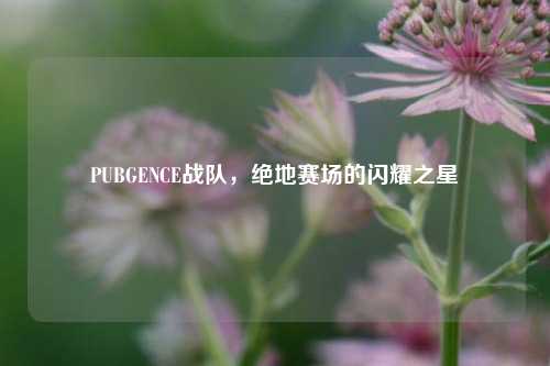 PUBGENCE战队,绝地赛场的闪耀之星