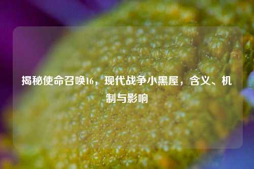 揭秘使命召唤16,现代战争小黑屋,含义、机制与影响