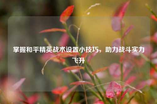 掌握和平精英战术设置小技巧，助力战斗实力飞升