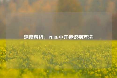 深度解析,PUBG中开镜识别方法