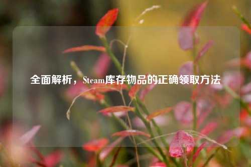 全面解析,Steam库存物品的正确领取方法