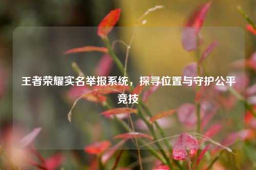 王者荣耀实名举报系统,探寻位置与守护公平竞技