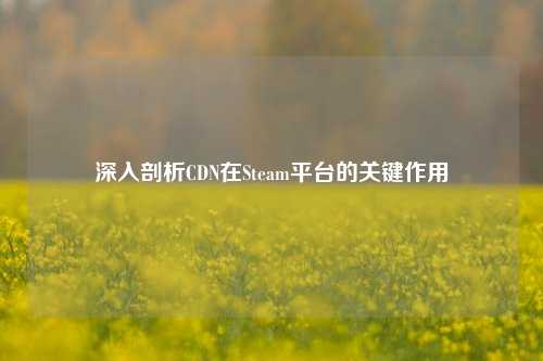 深入剖析CDN在Steam平台的关键作用