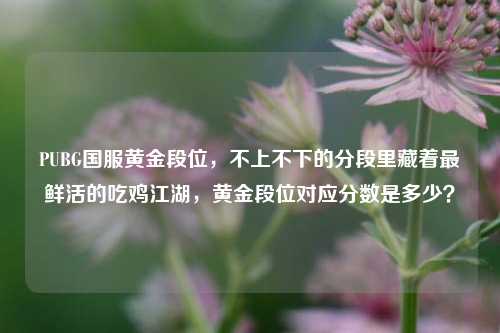 PUBG国服黄金段位,不上不下的分段里藏着最鲜活的吃鸡江湖,黄金段位对应分数是多少?