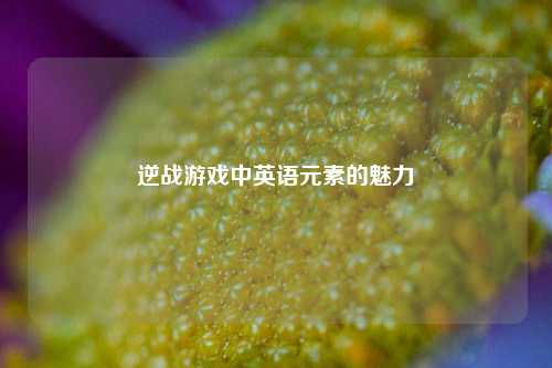 逆战游戏中英语元素的魅力