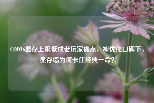 COD16显存上限低成老玩家痛点,神优化口碑下,显存墙为何卡住经典一命?