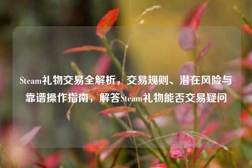 Steam礼物交易全解析，交易规则、潜在风险与靠谱操作指南，解答Steam礼物能否交易疑问