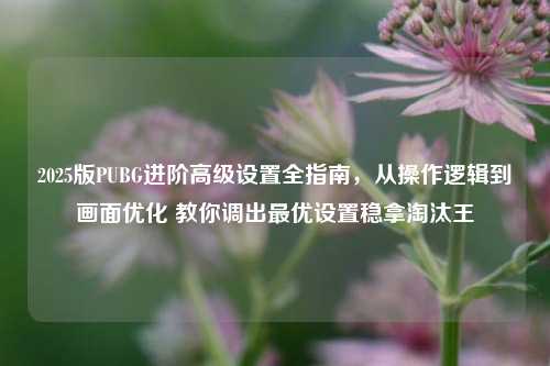 2025版PUBG进阶高级设置全指南,从操作逻辑到画面优化 教你调出最优设置稳拿淘汰王
