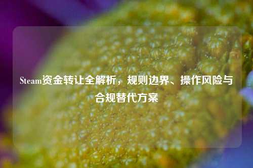 Steam资金转让全解析,规则边界、操作风险与合规替代方案