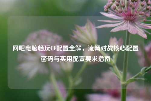 网吧电脑畅玩CF配置全解,流畅对战核心配置密码与实用配置要求指南