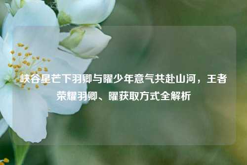 峡谷星芒下羽卿与曜少年意气共赴山河，王者荣耀羽卿、曜获取方式全解析