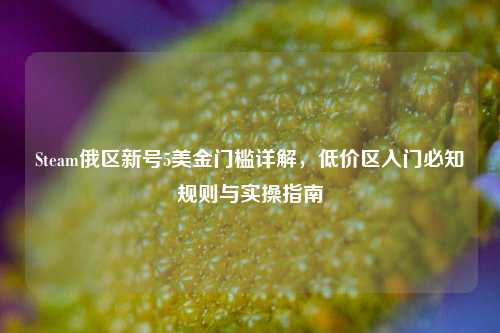 Steam俄区新号5美金门槛详解,低价区入门必知规则与实操指南