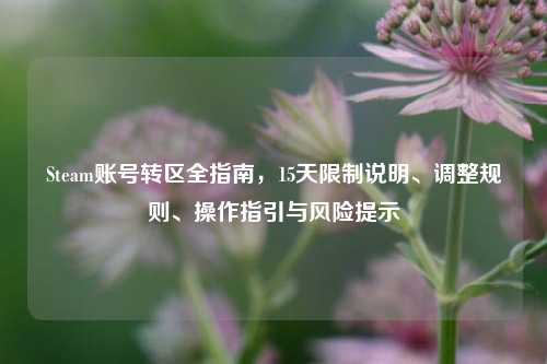 Steam账号转区全指南,15天限制说明、调整规则、操作指引与风险提示