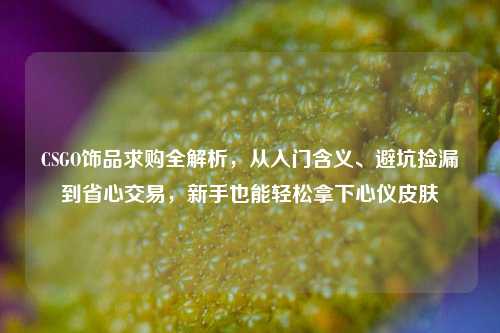 CSGO饰品求购全解析,从入门含义、避坑捡漏到省心交易,新手也能轻松拿下心仪皮肤