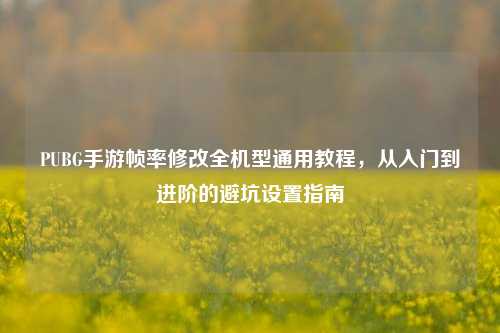 PUBG手游帧率修改全机型通用教程,从入门到进阶的避坑设置指南