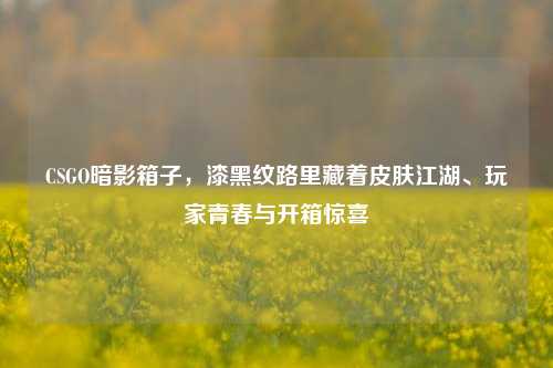 CSGO暗影箱子,漆黑纹路里藏着皮肤江湖、玩家青春与开箱惊喜