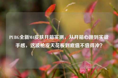 PUBG全新M4皮肤开箱实测,从开箱心跳到实战手感,这波枪皮天花板到底值不值得冲?
