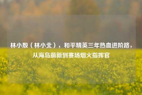 林小殷(林小北),和平精英三年热血进阶路,从海岛萌新到赛场烟火指挥官